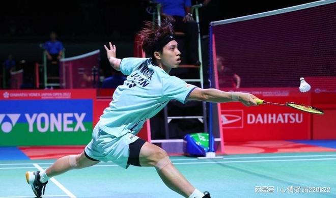 不仅提高了 不仅提高了