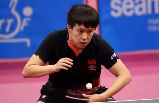 不止于观赏 不止于观赏