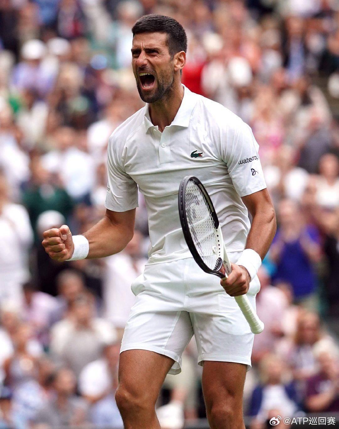 不仅提供了 不仅提供了